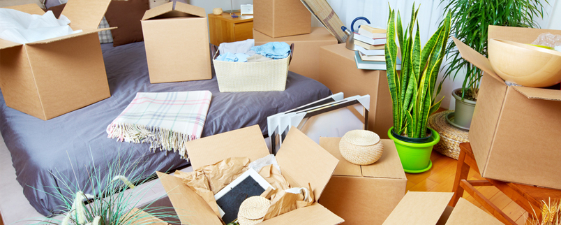 organiser ses cartons pour un déménagement